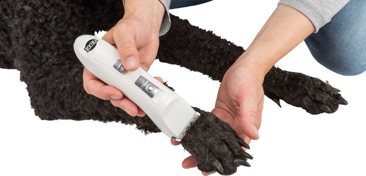 TRIXIE Schermaschinen-Set Akku TR1150, 6 W